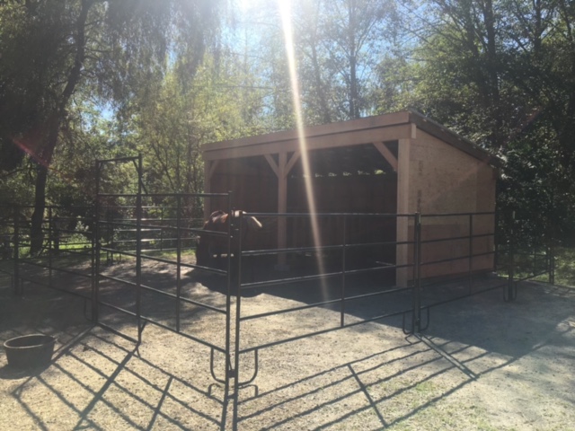 Horse shelter10