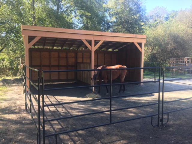 Horse shelter11